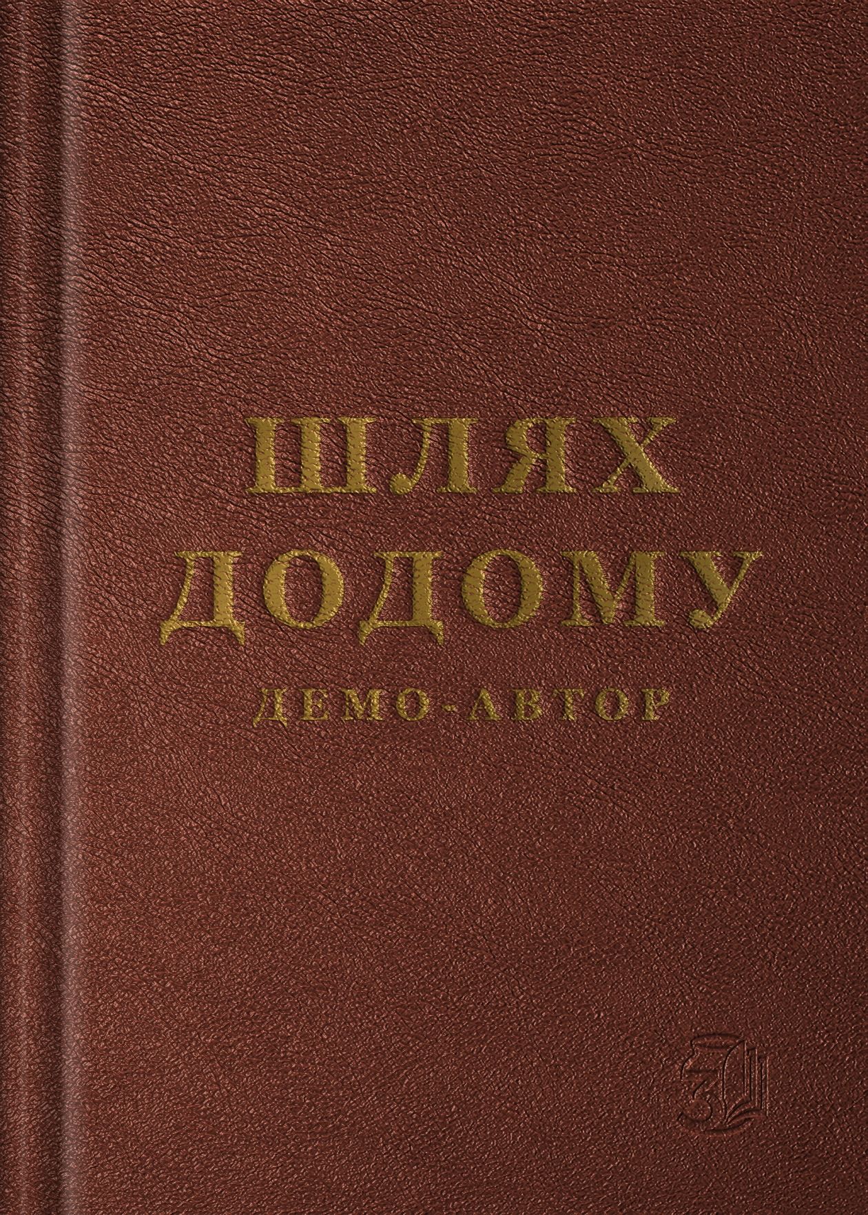 Шлях додому
